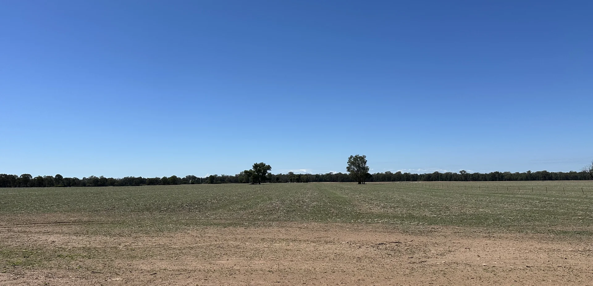 Additional image 7 of . Lilydale Road, Balldale NSW 2646