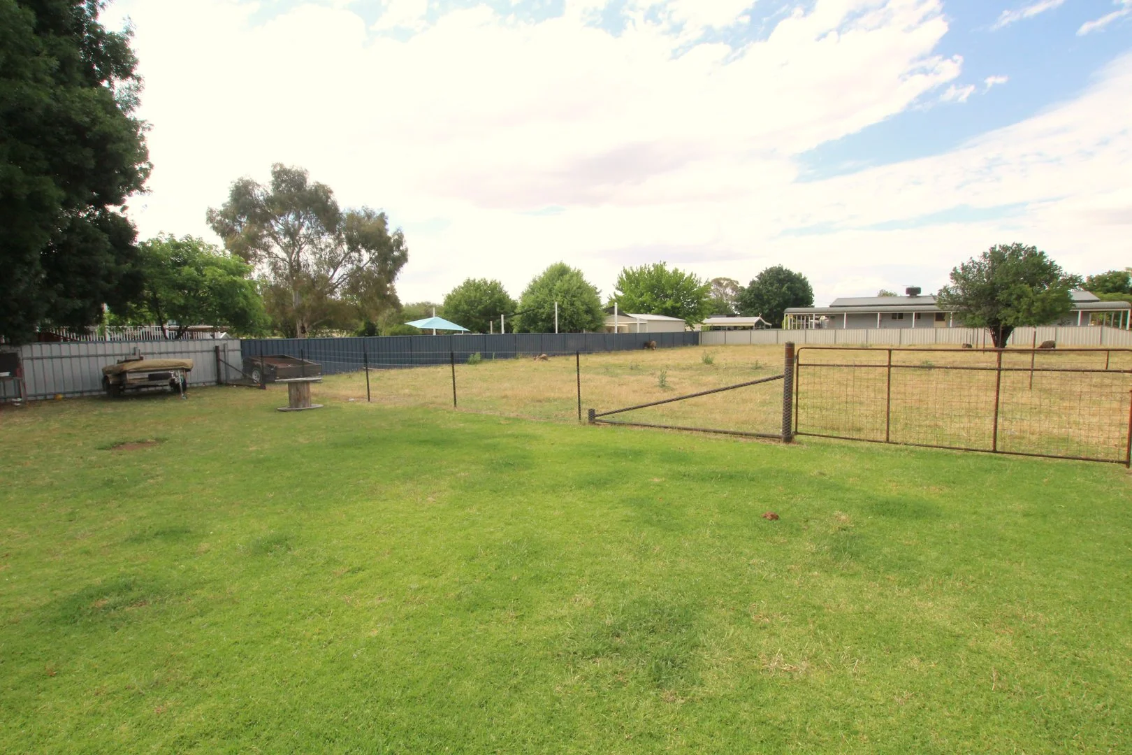 Image 21