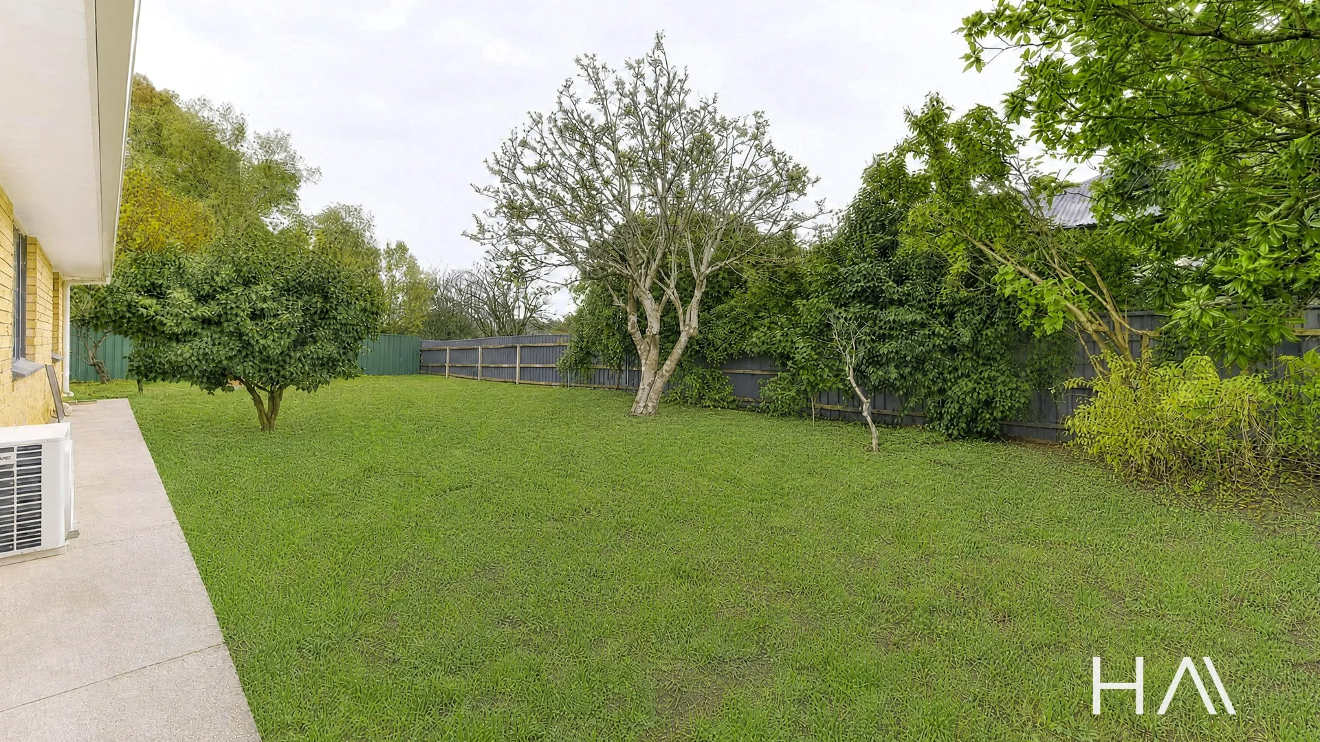 Image 15