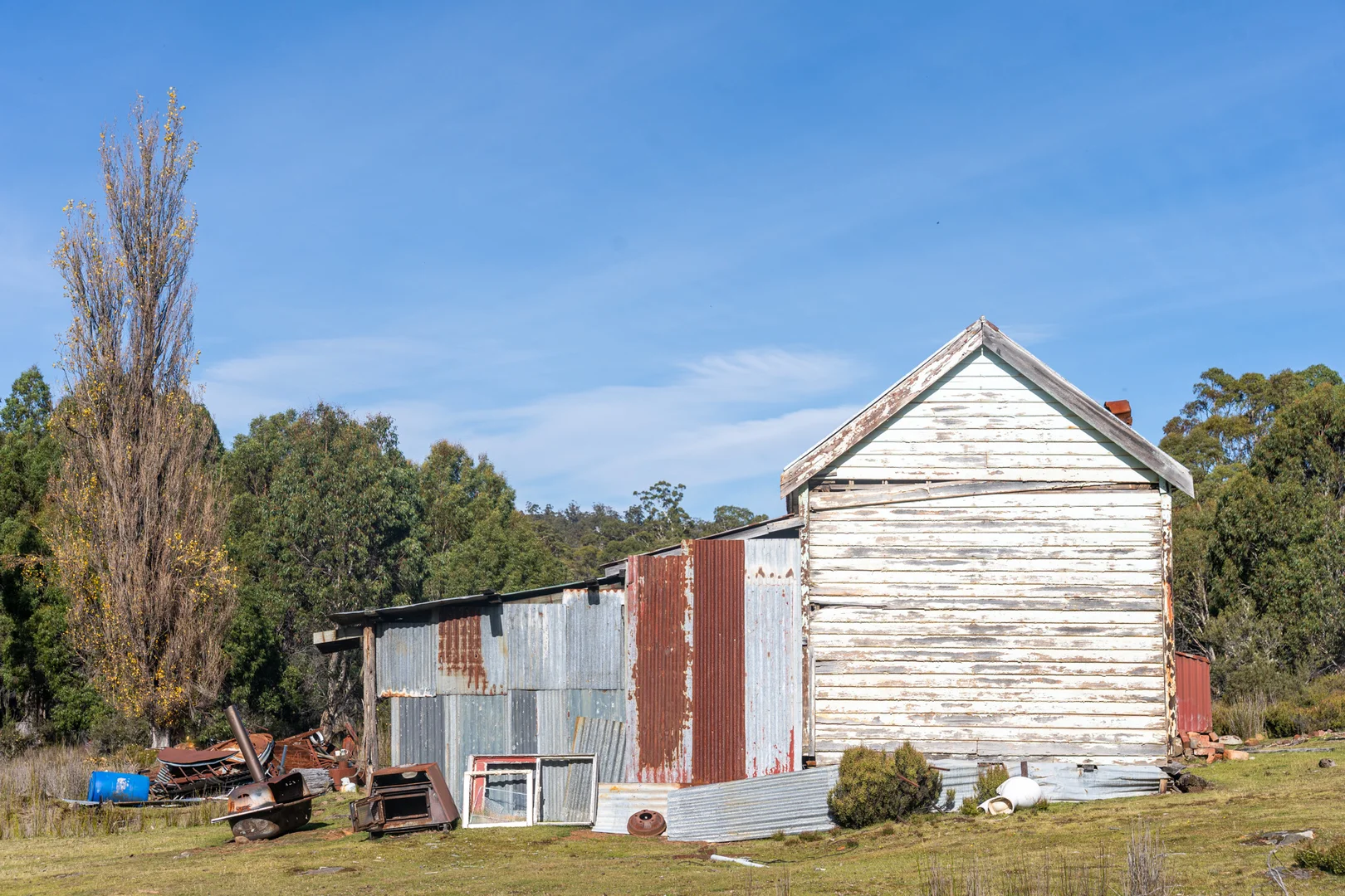 Image 13