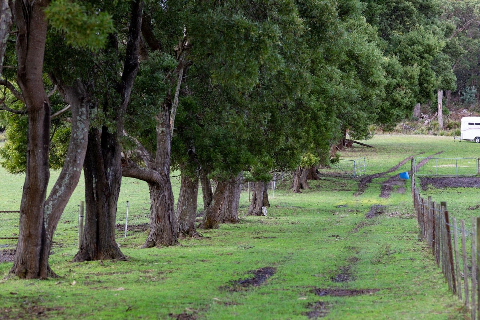 3198 West Tamar Highway, Sidmouth TAS 7270, Image 1