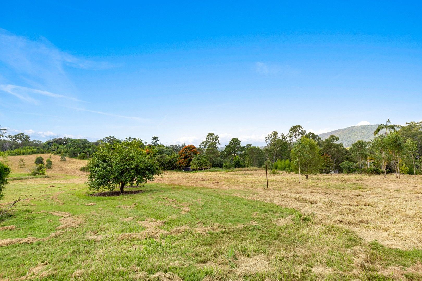 32 Richards Road, Samford Valley QLD 4520, Image 0