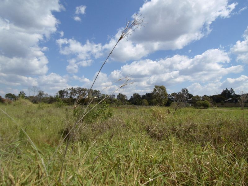 Lot 12 Mill Road, Cordalba QLD 4660, Image 1