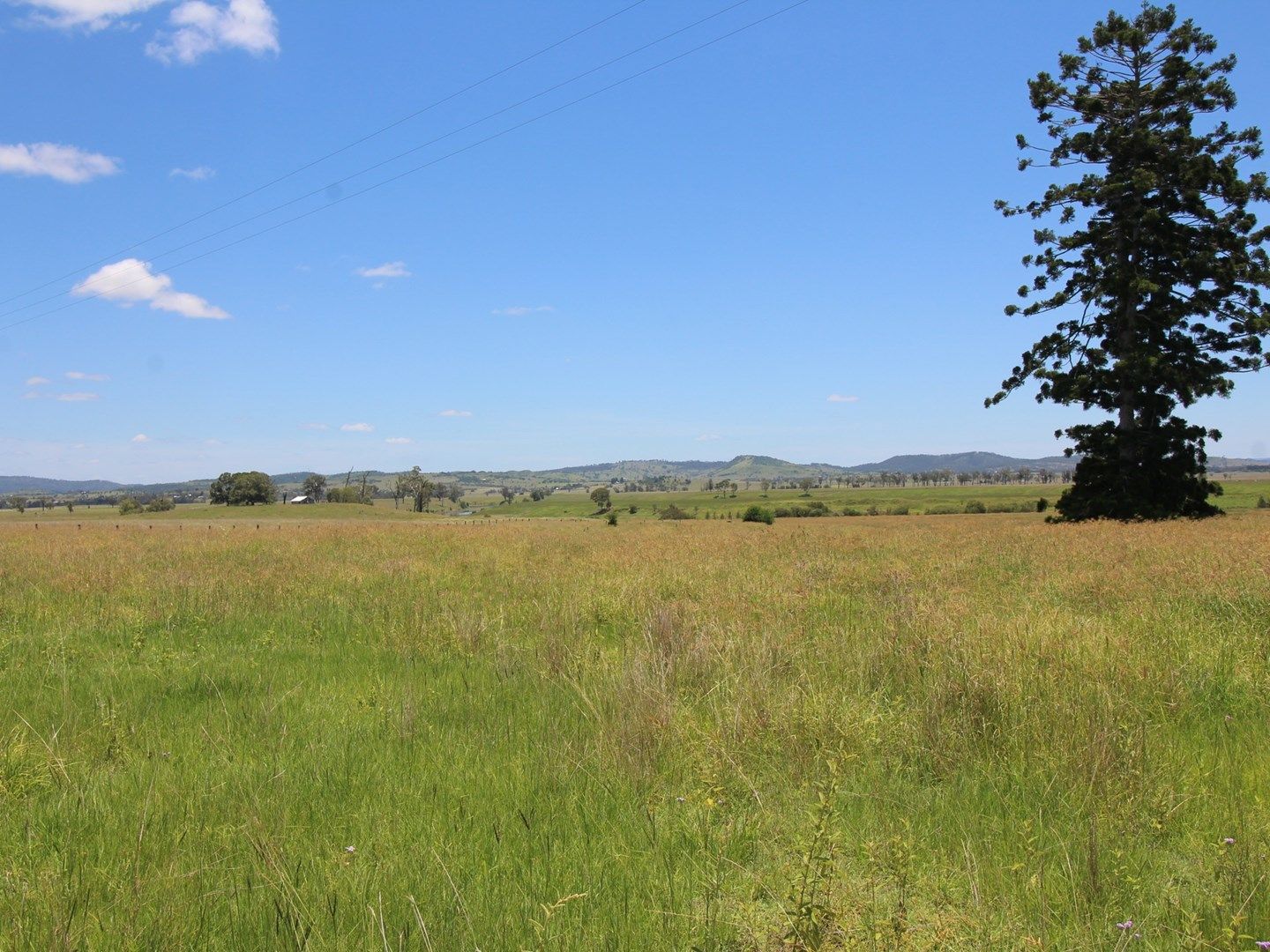 615 Cooeeimbardi Road, Lower Cressbrook QLD 4313, Image 1