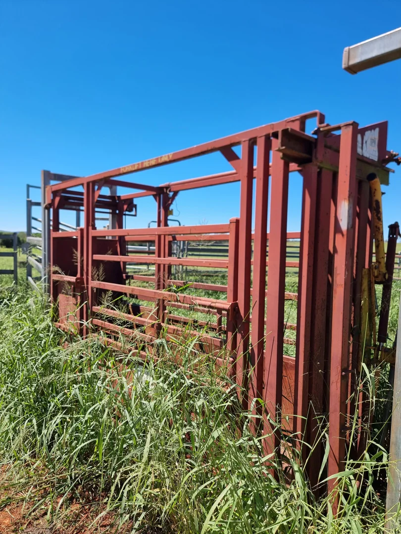 Additional image 10 of 42 Roberts Road, Speedwell, Proston QLD 4613