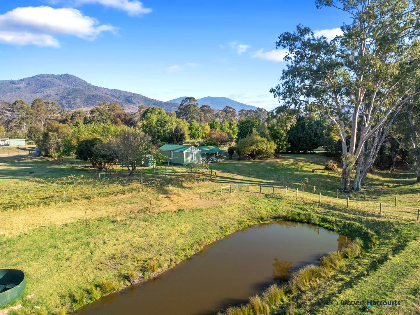 Image 21