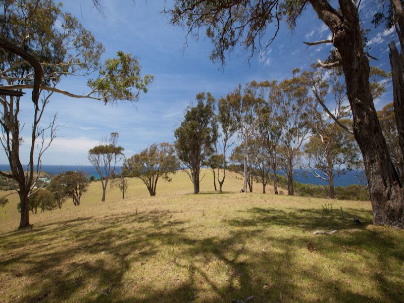 Lot 3 O'Shea Road, Murrah NSW 2546, Image 1