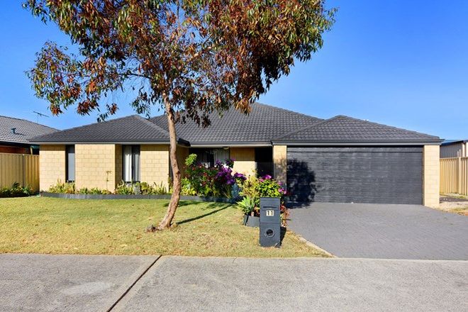 Picture of 11 Orchid Drive, GLEN IRIS WA 6230