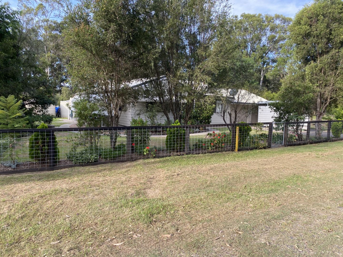 9211 Mount Lindesay Road, Legume NSW 2476, Image 2