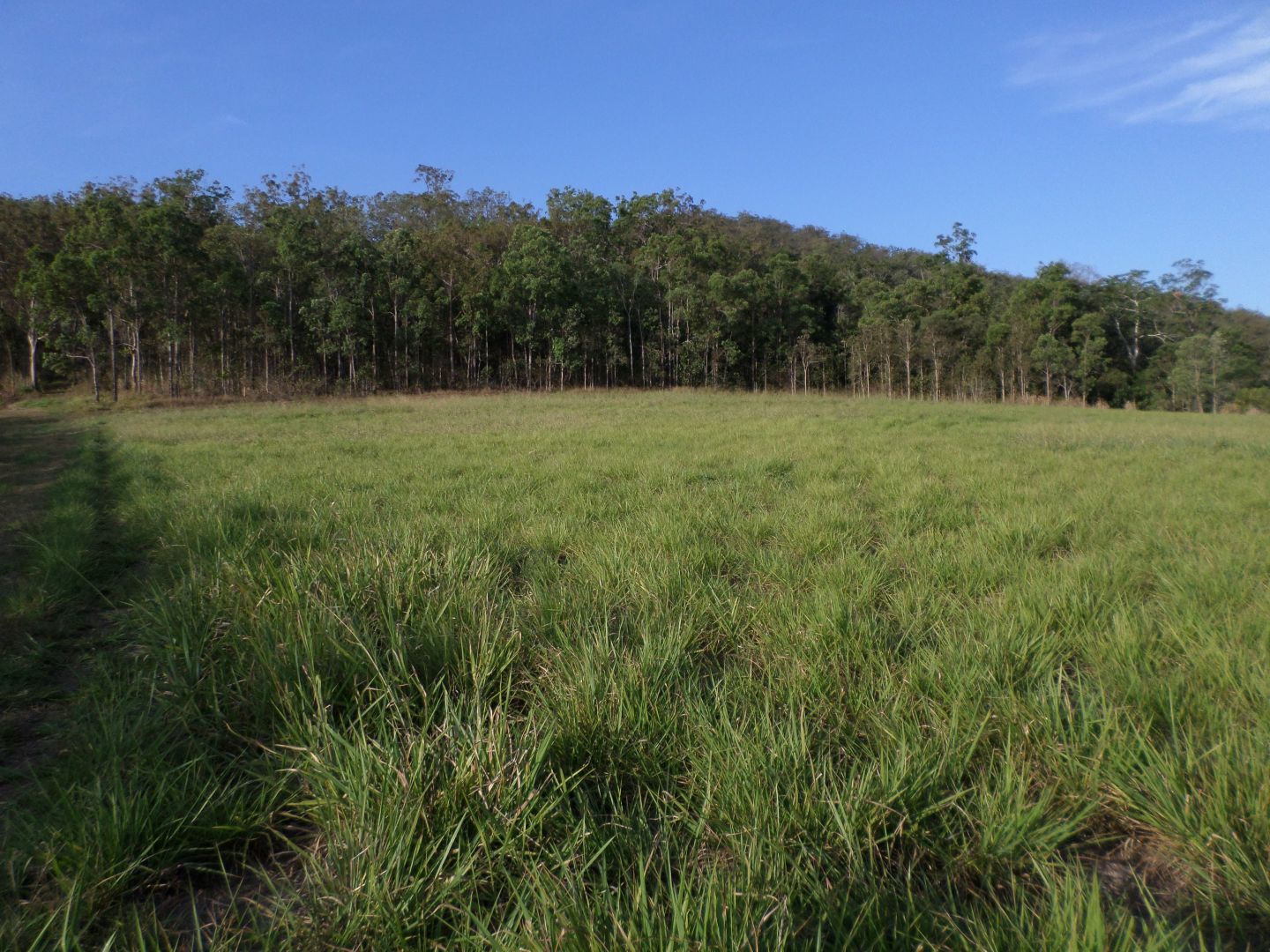 Gargett QLD 4741, Image 1