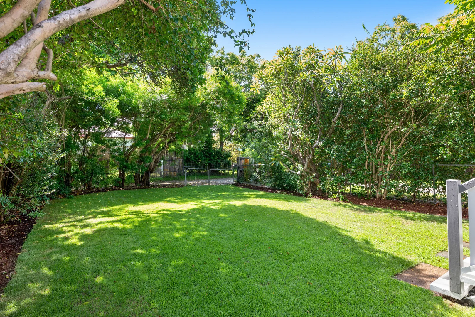 Additional image 11 of 22 Nelson Street, Coorparoo QLD 4151