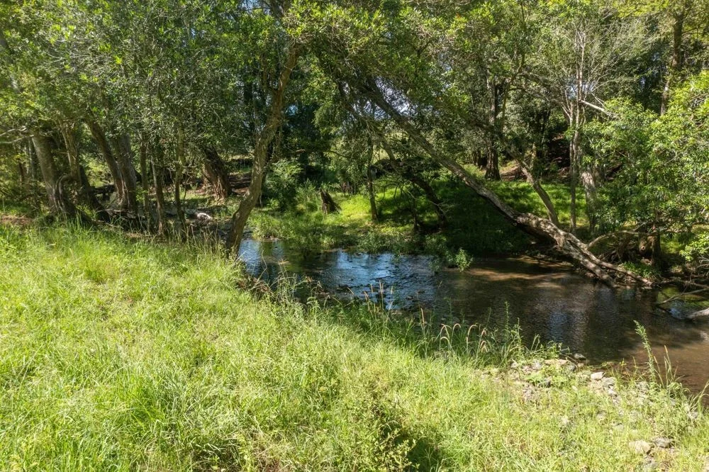 Image 18