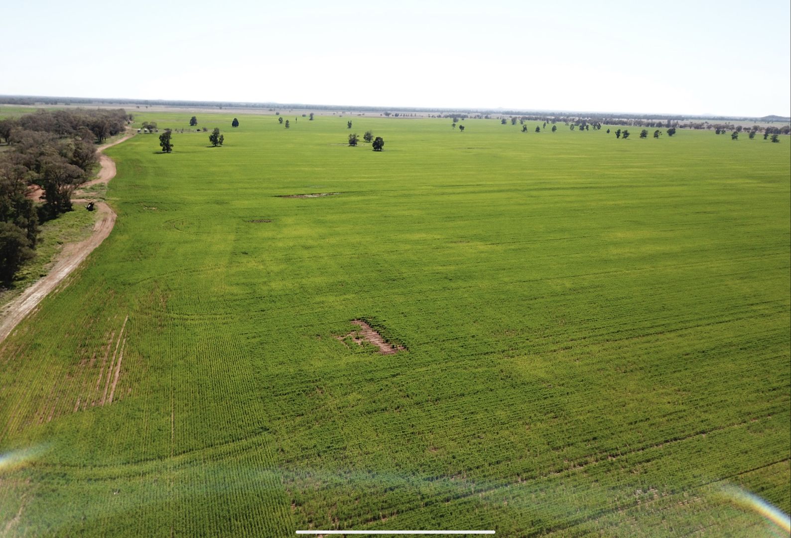 762 Cornells Road, Condobolin NSW 2877 Specialist Farm for Sale