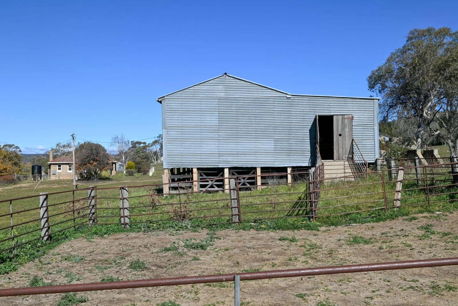 Image 13