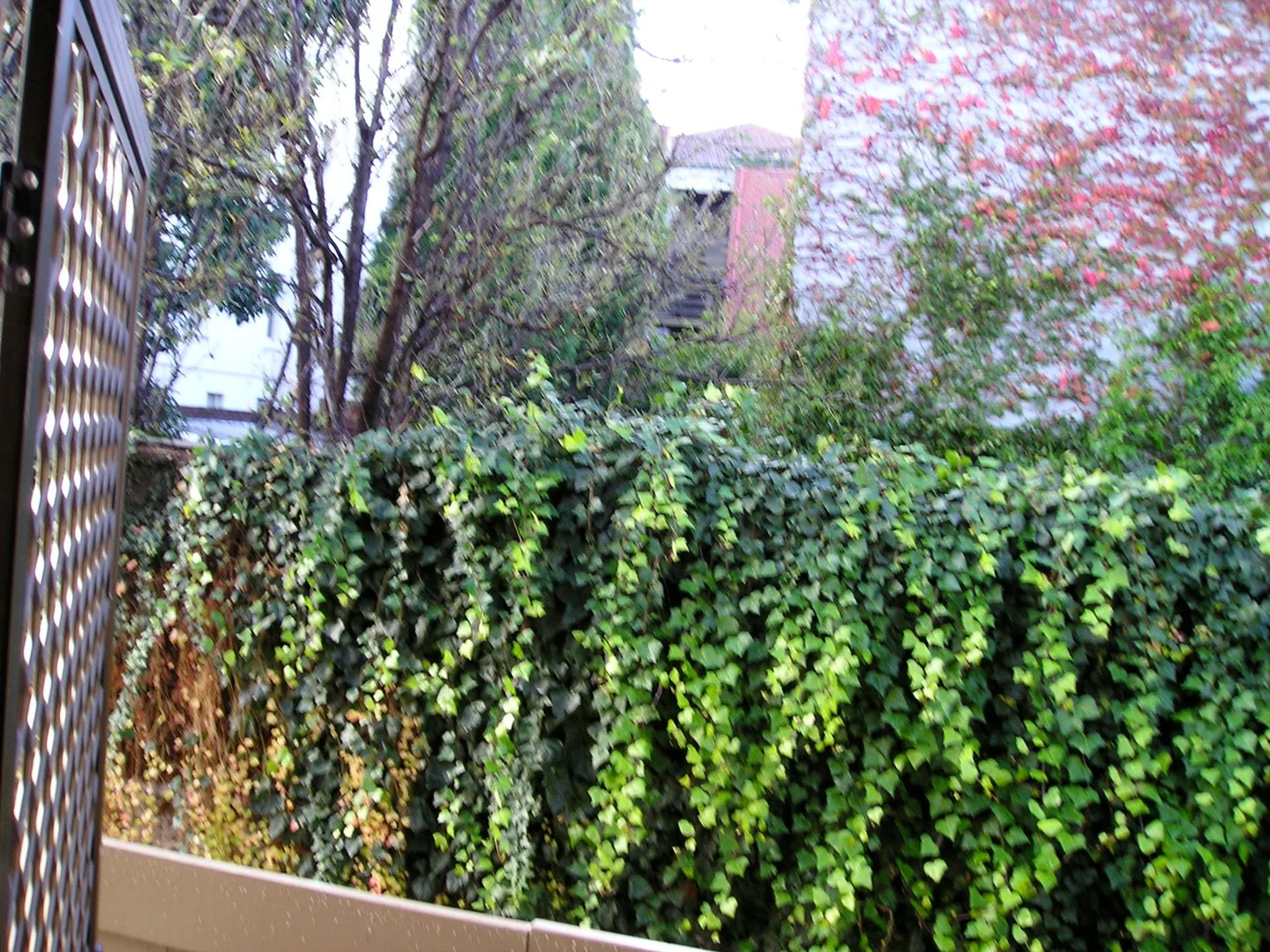 Additional image 5 of South Yarra VIC 3141