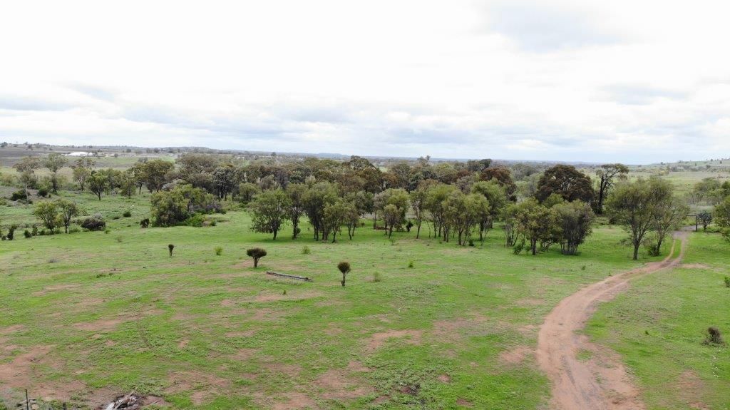 31 ACRES LIFESTYLE PROPERTY, Bell QLD 4408, Image 2
