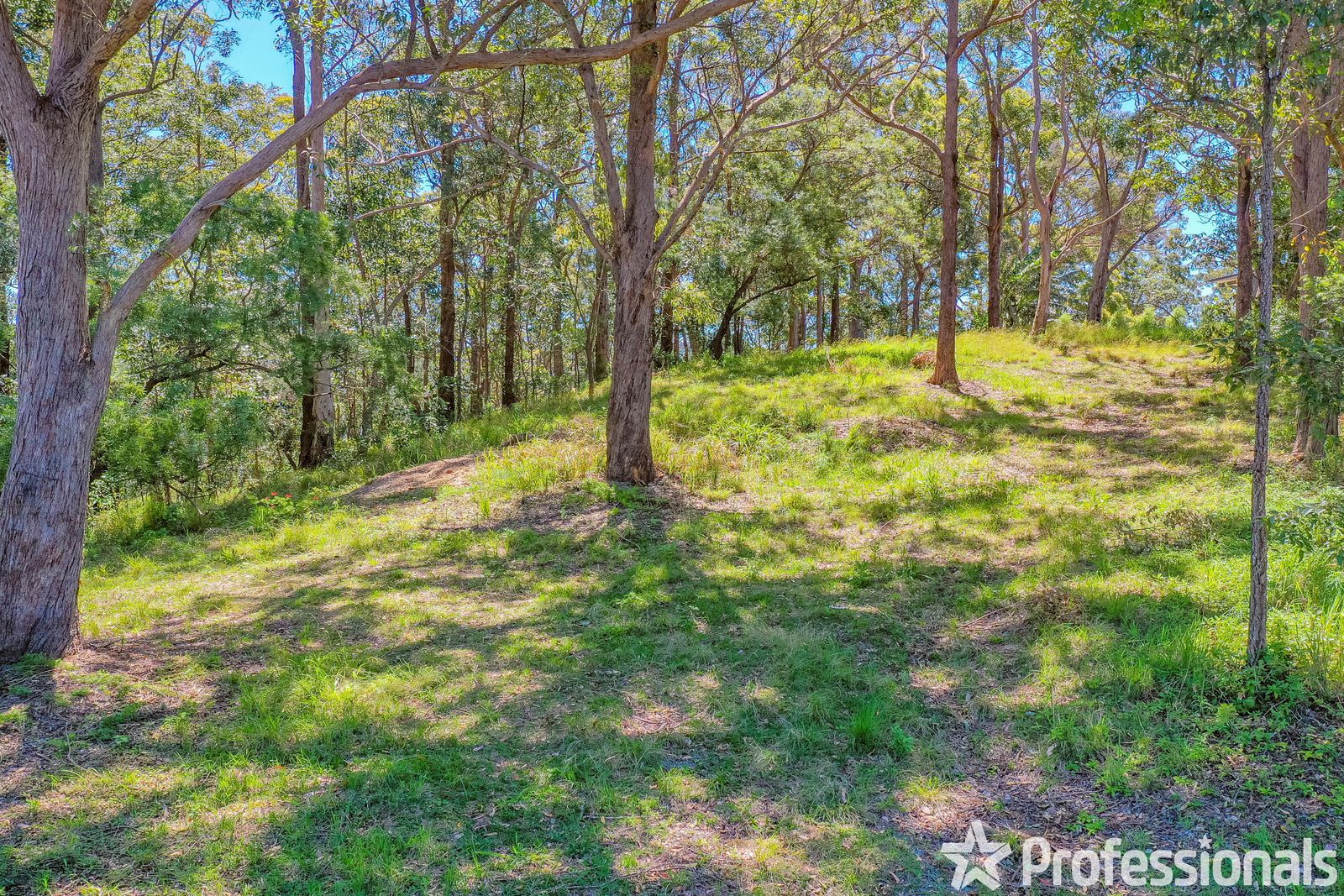 Vacant land in 260-262 Guanaba Road, TAMBORINE MOUNTAIN QLD, 4272