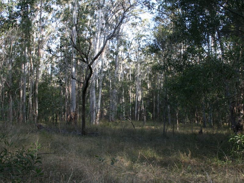 2 1475 Myall Creek Road, BUNGAWALBIN NSW 2469, Image 0