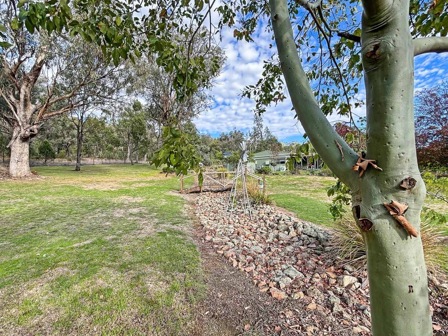 Image 19