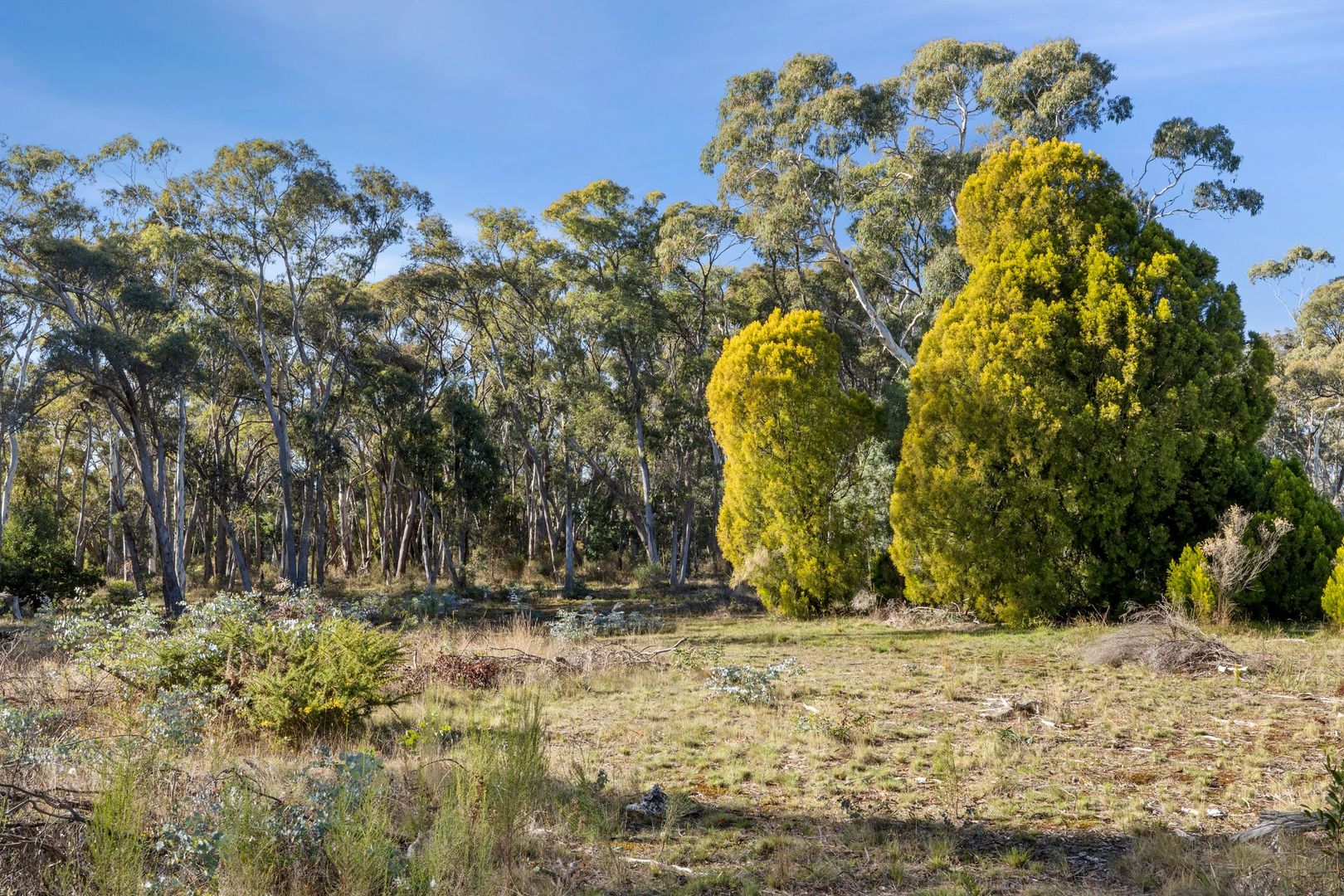 45 Leared Drive, Kyneton VIC 3444, Image 1