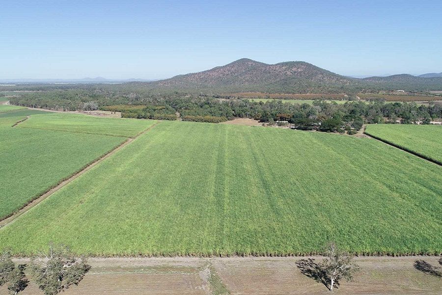 612 Upper Haughton Road, Horseshoe Lagoon QLD 4809, Image 2