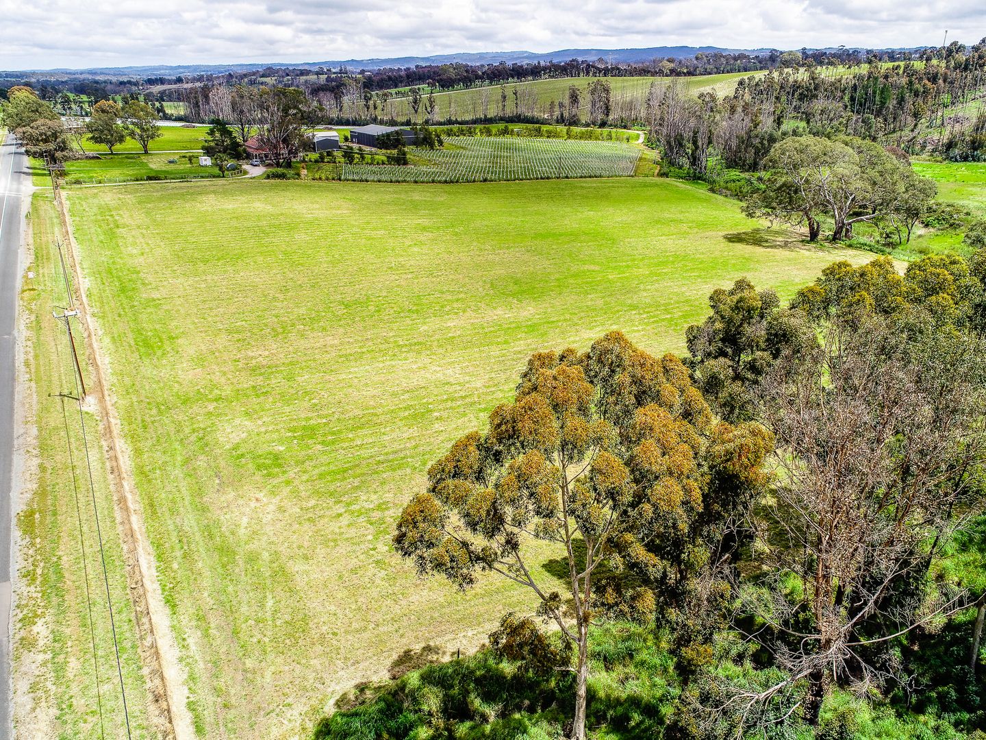 Lot 104 Pfeiffer Road, Woodside SA 5244, Image 1