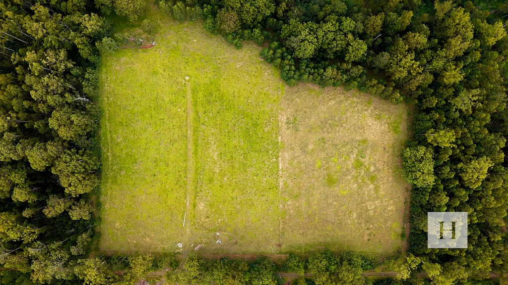 Additional image 22 of 200 Coopernook Forest Way, Lansdowne Forest NSW 2430