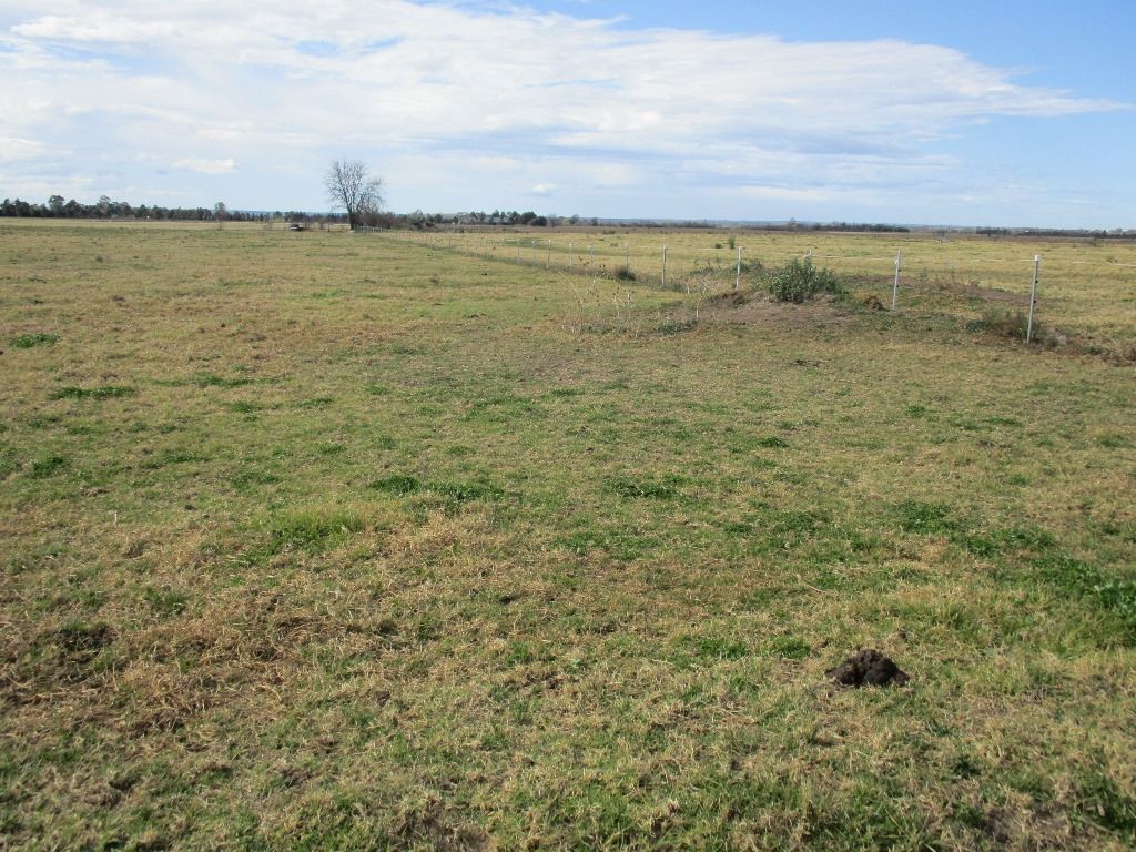 Richmond Lowlands NSW 2753, Image 1