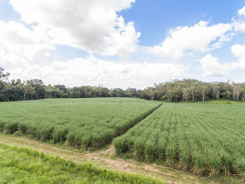 Lot 9 Sarina Homebush Road, Sunnyside QLD 4737, Image 1