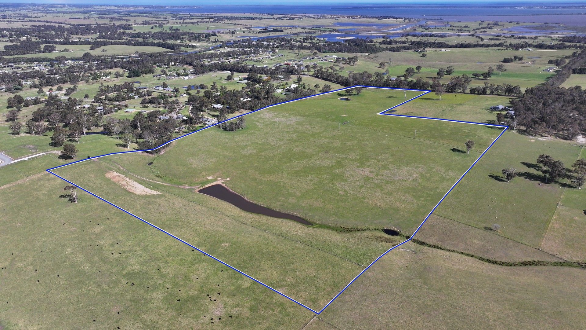 Rural in 565 Olivers Road, NICHOLSON VIC, 3882
