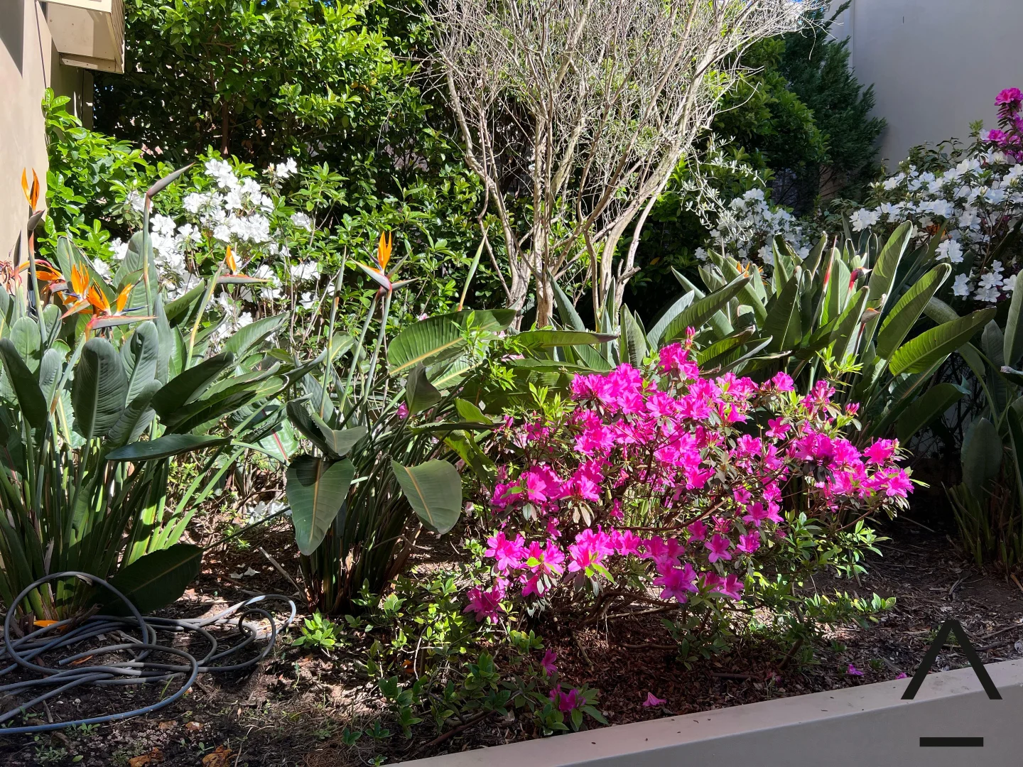 Additional image 9 of 9/314-316 Bronte Road, Waverley NSW 2024