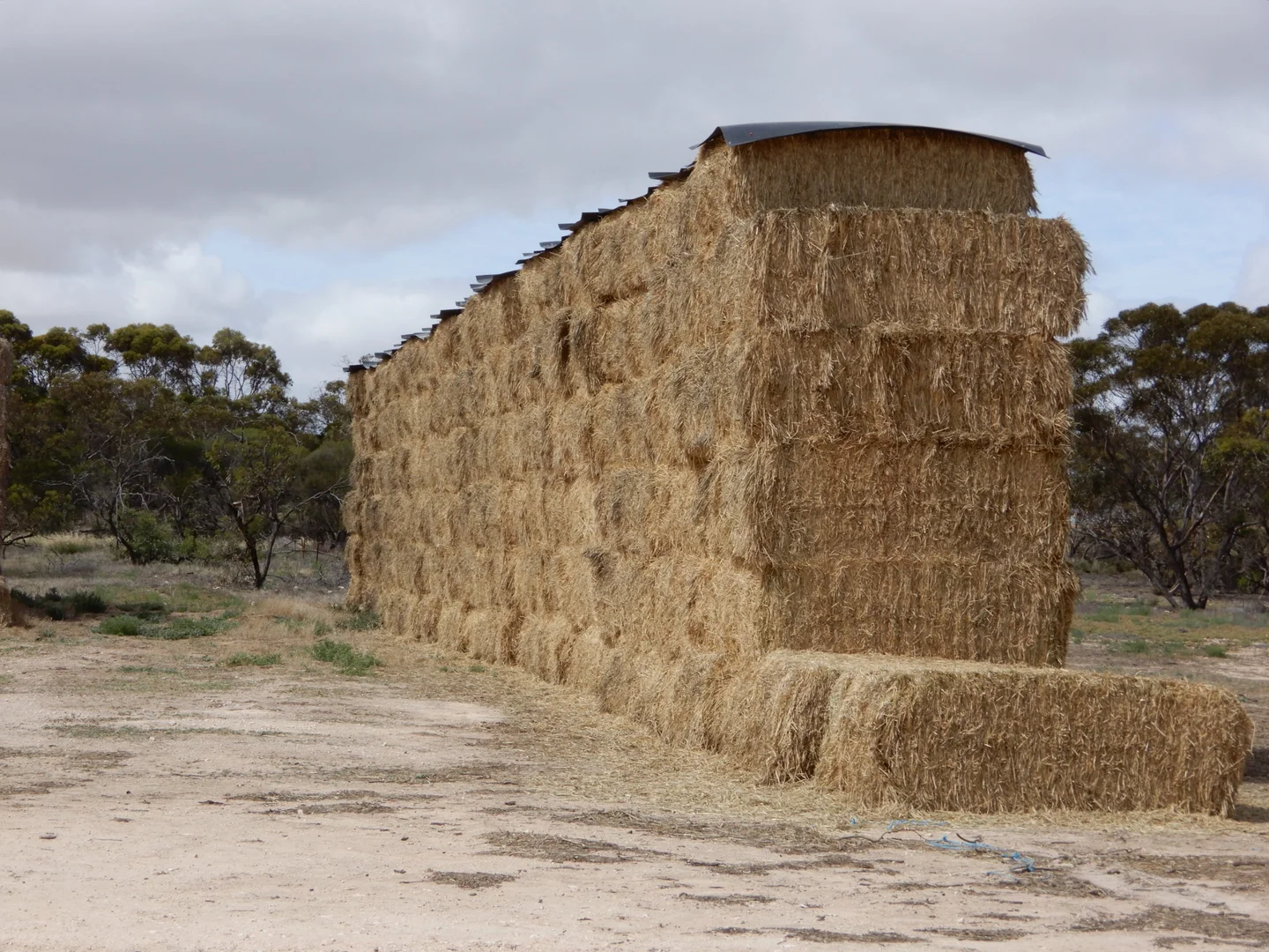 Image 17