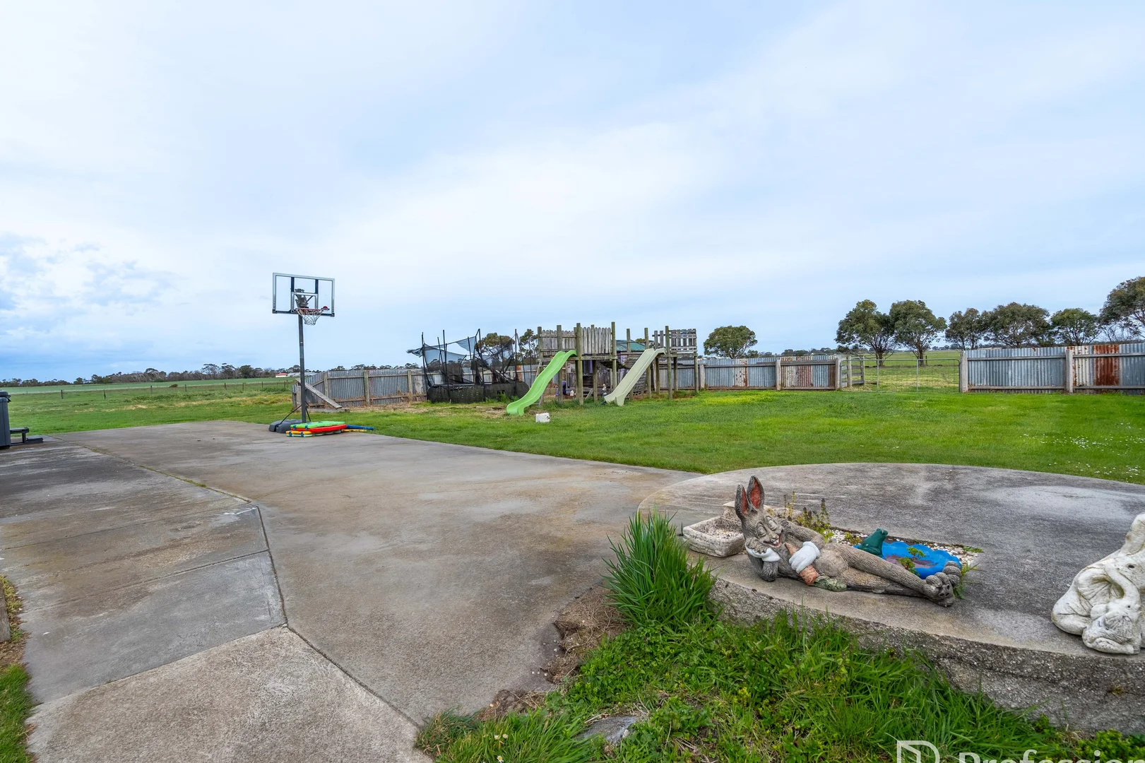 Image 11