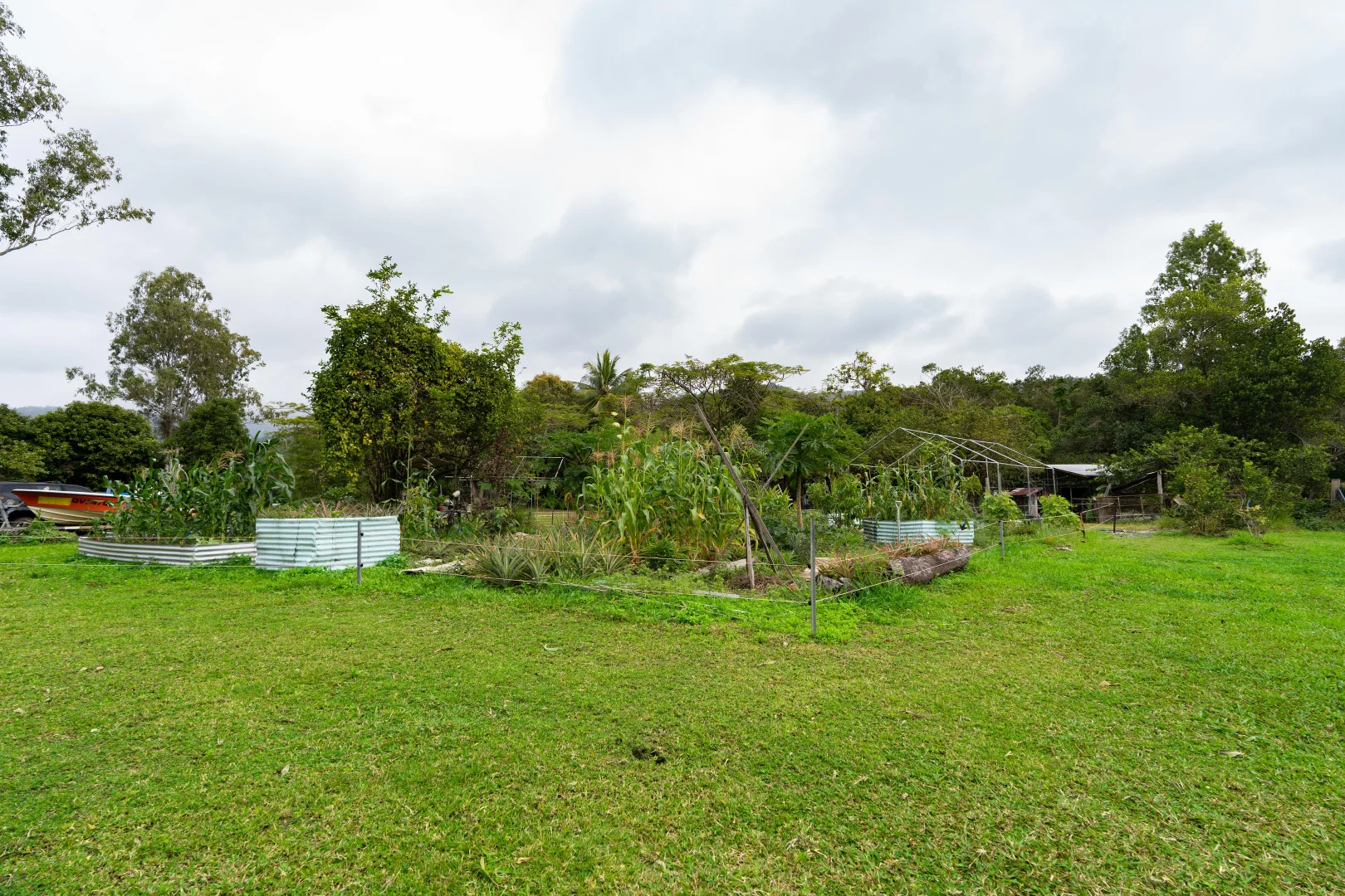 Image 13