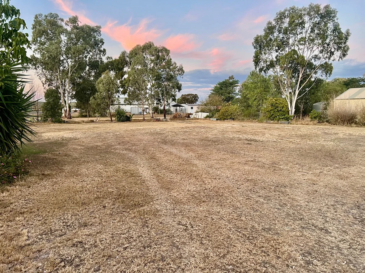 Image 13