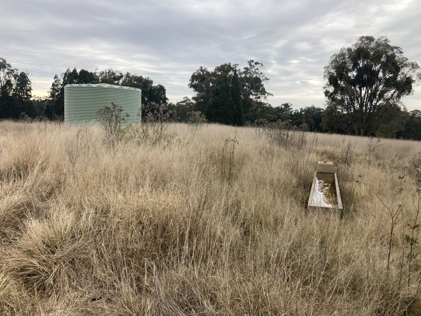 "The Junction" 8764 Newell Highway, Coonabarabran NSW 2357, Image 1