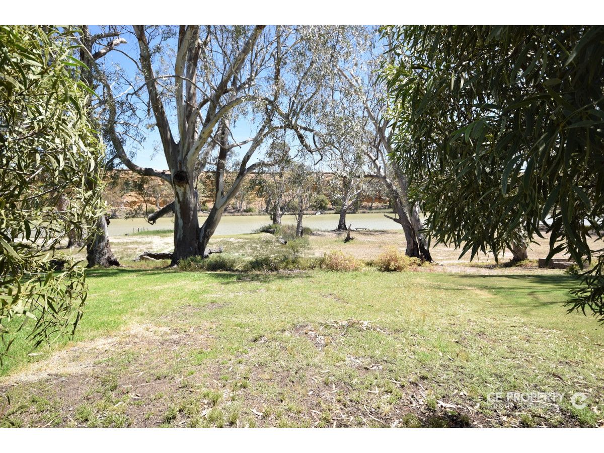 35 Marks Landing Road, Swan Reach SA 5354 Domain