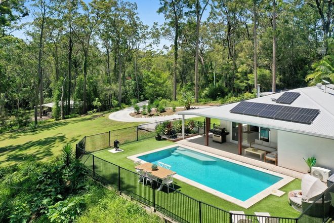 Picture of 286A Trees Road, TALLEBUDGERA QLD 4228