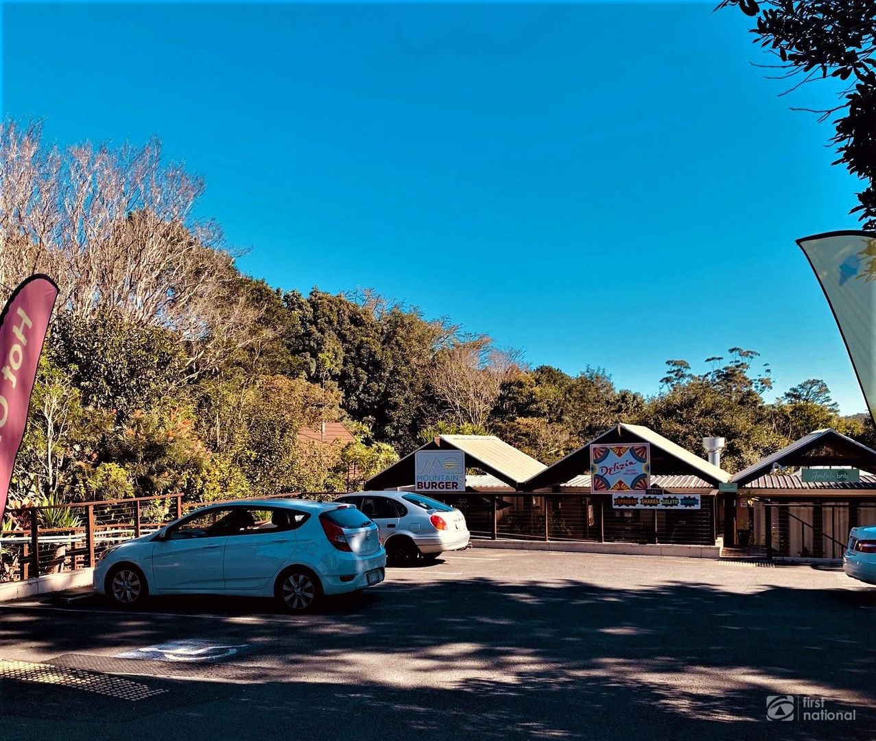 151 Long Road, Tamborine Mountain QLD 4272 Domain