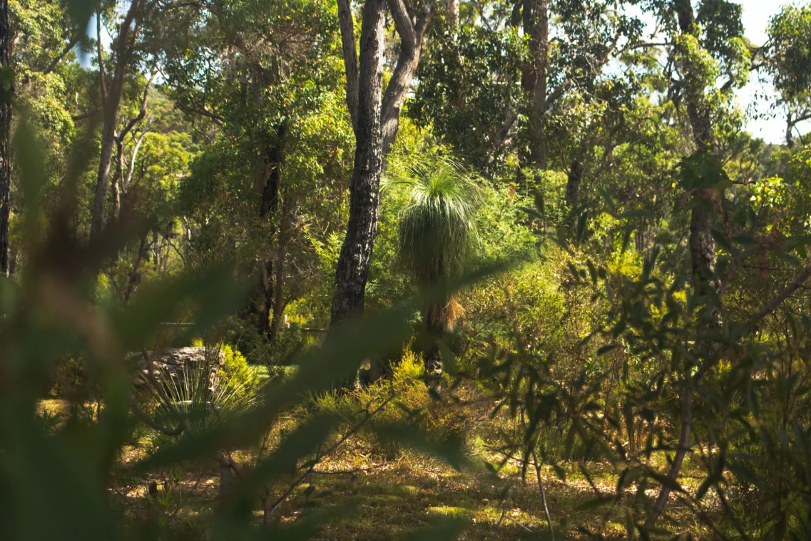 Additional image 6 of 80 Karri Street, Walpole WA 6398