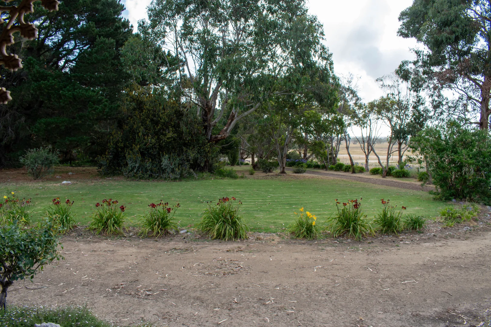 Image 17