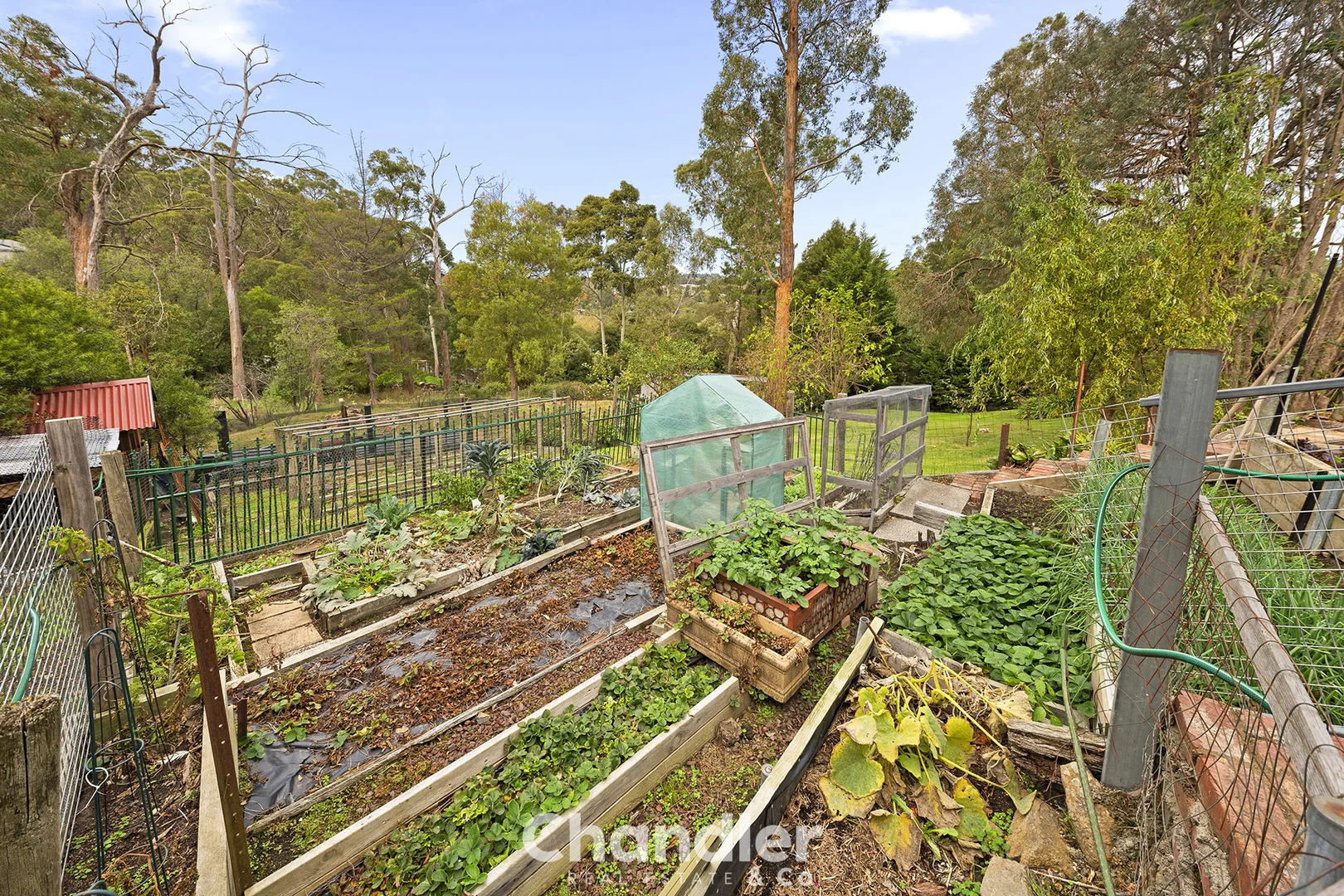 Additional image 7 of 12 Ferguson Street, Upwey VIC 3158