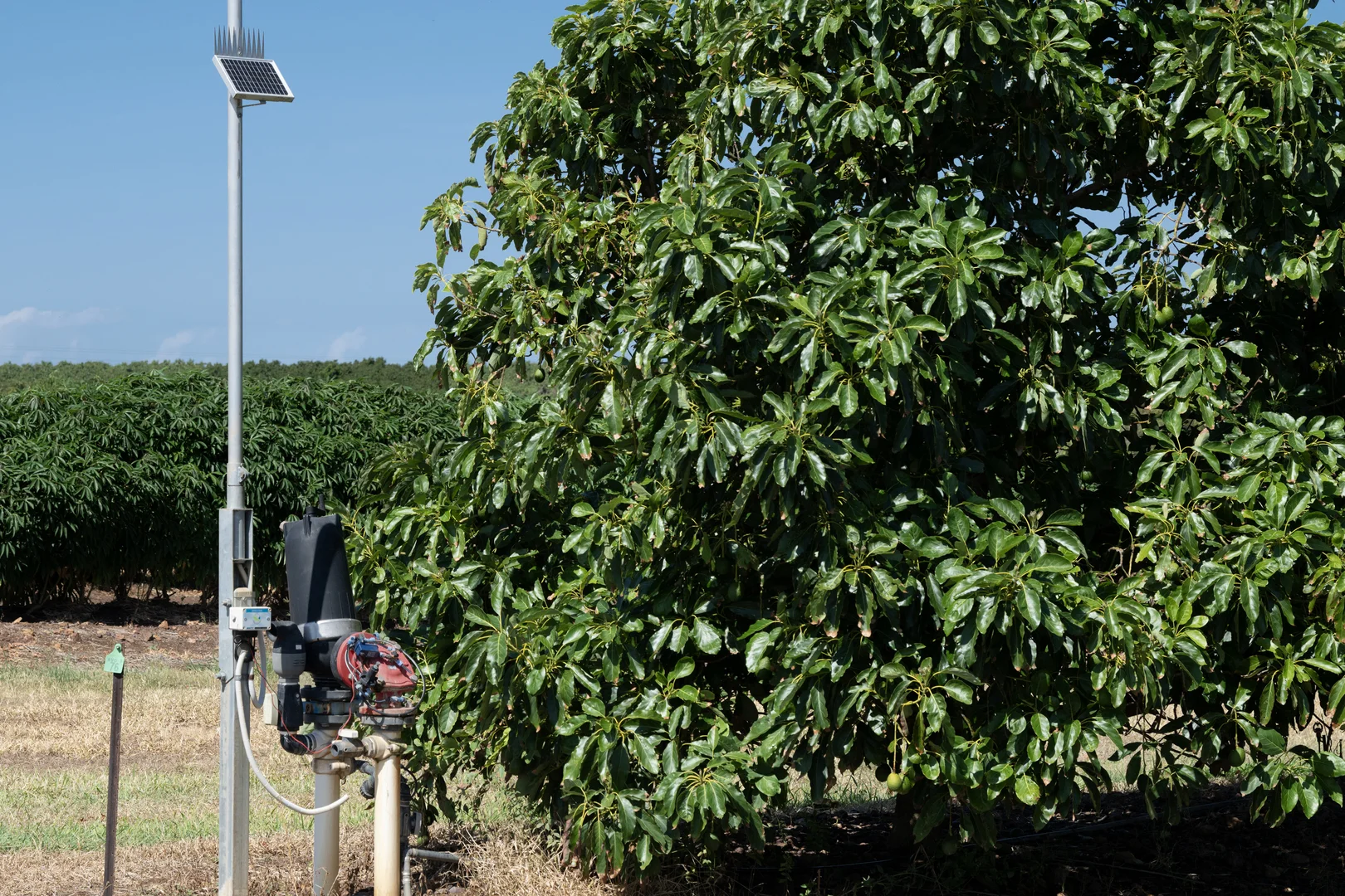 Additional image 19 of Lot 85 Glenrae Dip Road, Boynewood QLD 4626