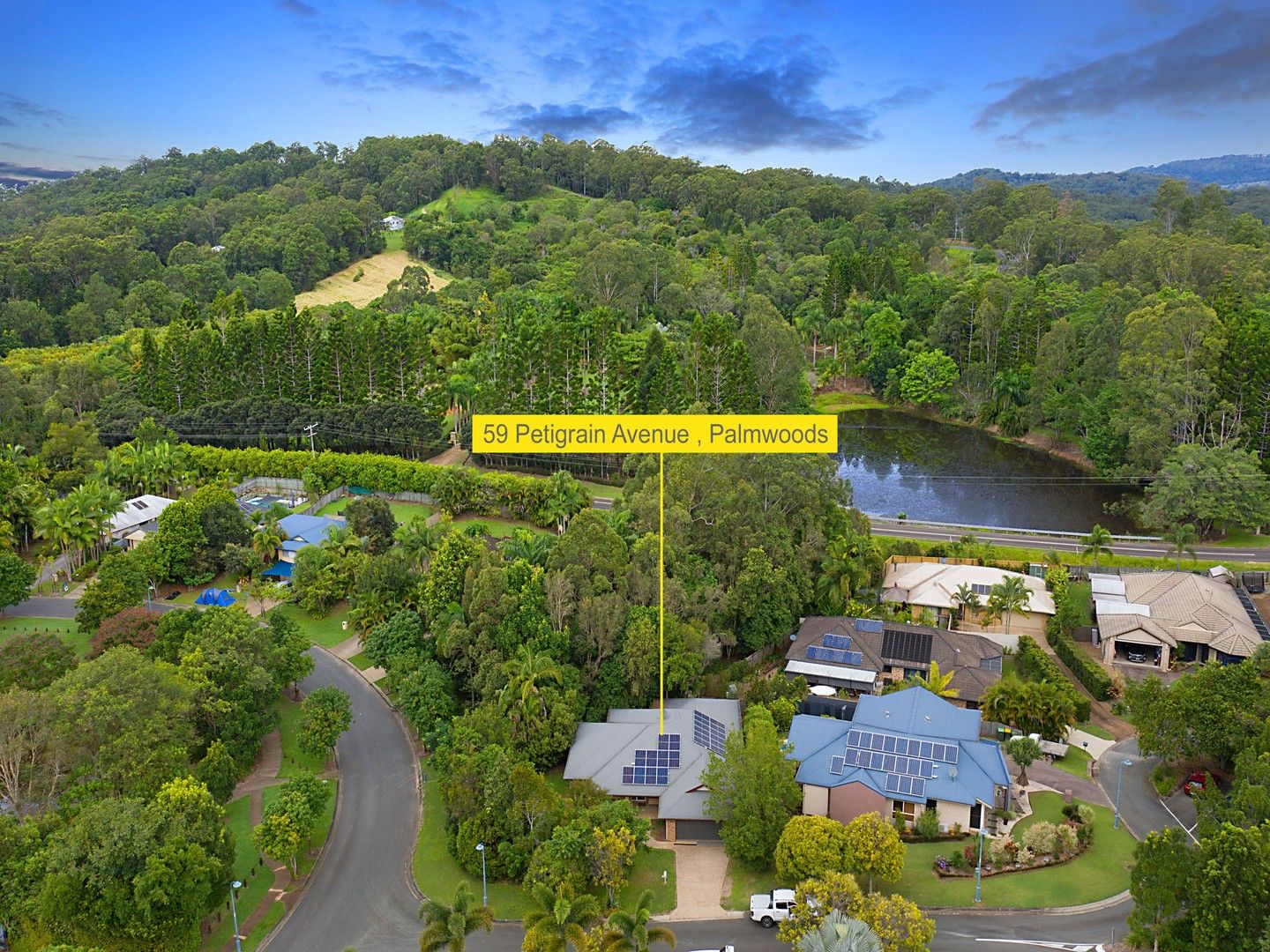 59 Petigrain Avenue, Palmwoods QLD 4555, Image 0