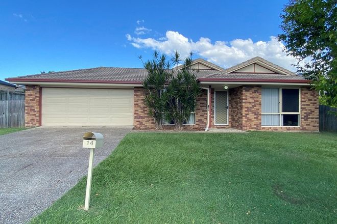Picture of 14 Brodie Court, HILLCREST QLD 4118