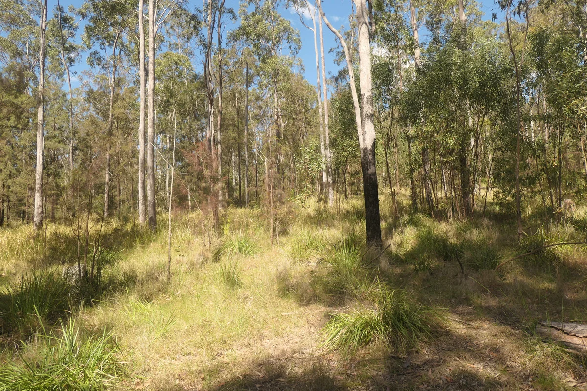 Image 21