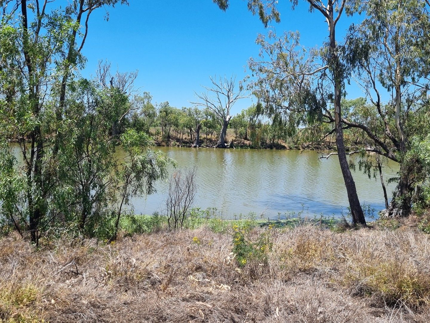 Water Park Estate, Goondiwindi QLD 4390, Image 0