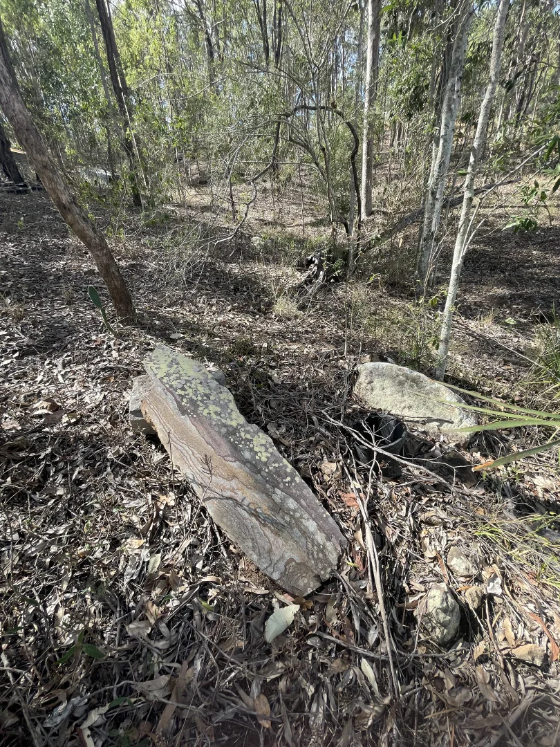 Image 10
