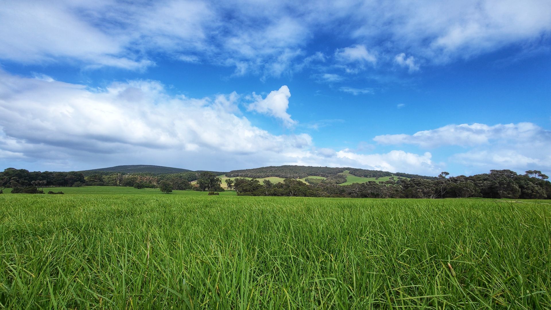 Lot 201 Mount Richard Road, Nanarup WA 6330, Image 2