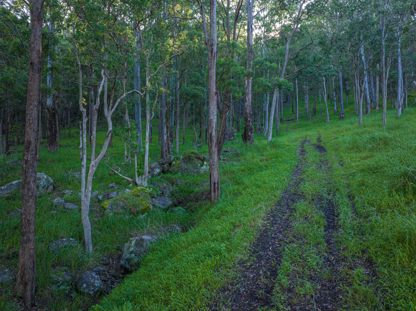 Image 11